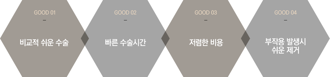 보형물삽입술